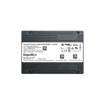 DAPUSTOR ROEALSEN5 PCIE GEN4 x4 NVME SSD 